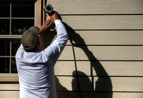 Best Brick Veneer Siding  in Pinetop Lakeside, AZ